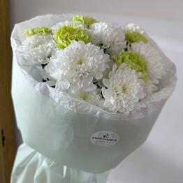 FimFlowers 