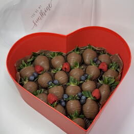 Chocolate Dreams