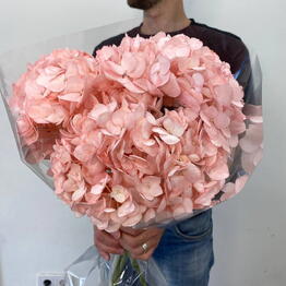 BLOOM ROOM ОПТ
