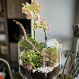 Mini-mir