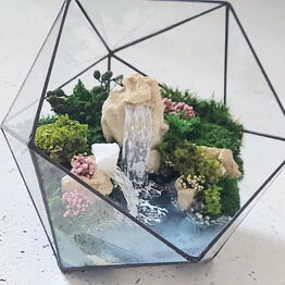Florariumy, mossariumy i bonsay 