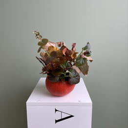 A FLOWER