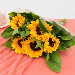 Поле цветов х Косино