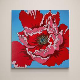 Red Poppy