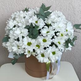 Solo Fiore