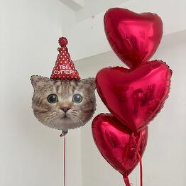 Шарики сердечки с котиком