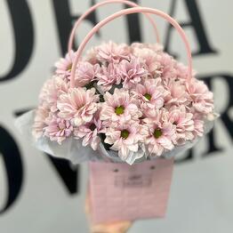 Sofia Flowers