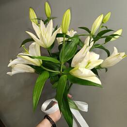 Maksi Flora