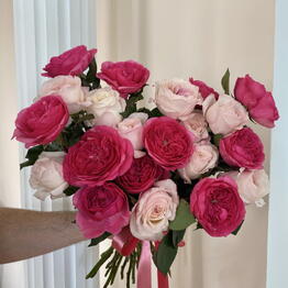 Rose Maria