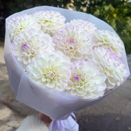Garden Flowers