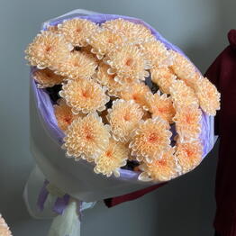 Floroom