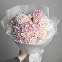 Verbena.Flo