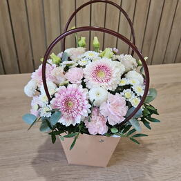 Nelúmbo flowers