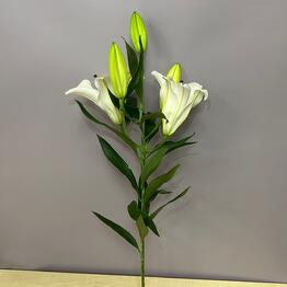 Maki flora