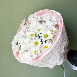 FloraOpt