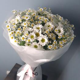 Flower Stories