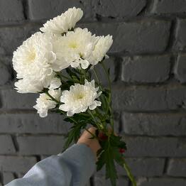 Just Flor