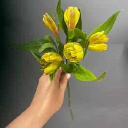 FLOWERS on BALLOON