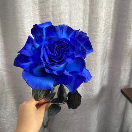 Flower Fancy x Juznoe Butovo
