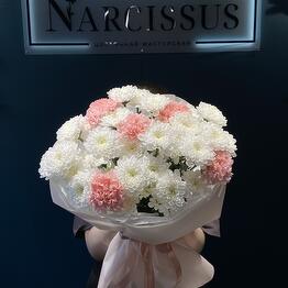 NARCISSUS