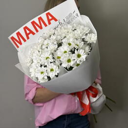 Florideya 