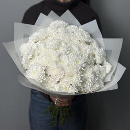 CROCUSS RU
