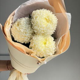 Helly Flowers