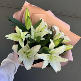 Viol botanical 