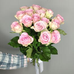 RoseHrise