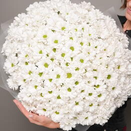 ArtFlora