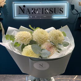 NARCISSUS