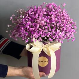 Florens