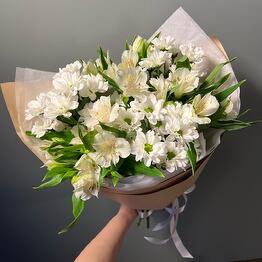 Cvetochnaya Vetka