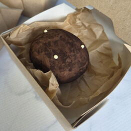 TortOlya