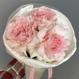 Volkova flowers