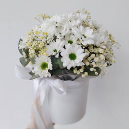 Bambini Flowers