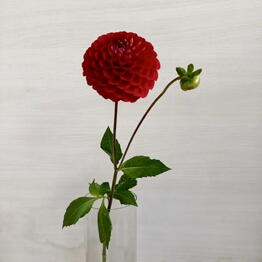 Flowershop.store