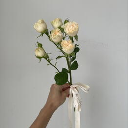 Balance flowers