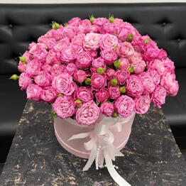 Flower Power
