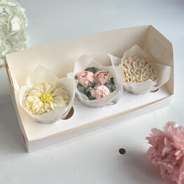 sonadorcake