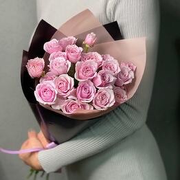 Ан Де Ан