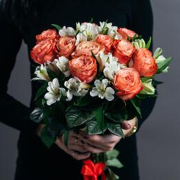 Fiore Lily spb