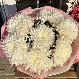 Flowers113