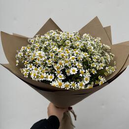 СоюзЦветТорг Кутузовский