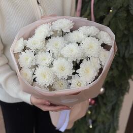 Pon Pon Flowers