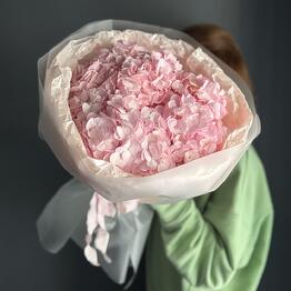 La Rose 