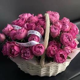 Bloom.by.bar