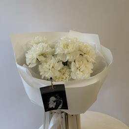 Primum Flos