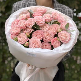 BLOOM ROOM