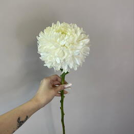Soho Flowers